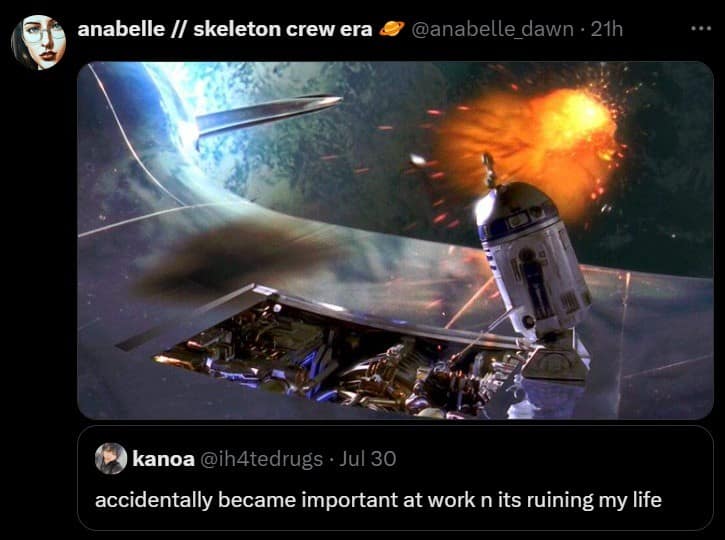 meme dump, funny memes, hilarious memes, lunch break humor, daily memes, internet laughter, meme feast, comedic buffet, laughter bonanza