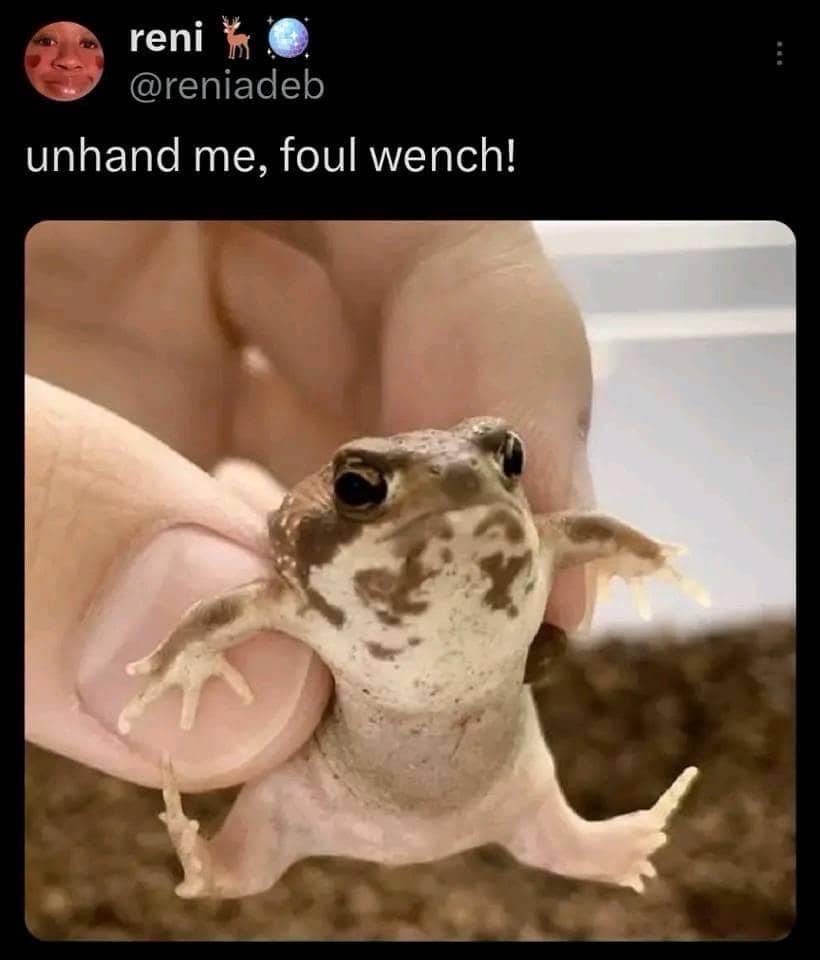 meme dump, funny memes, hilarious memes, internet memes, viral memes, random internet memes, trending memes, laugh-out-loud memes, funny internet posts