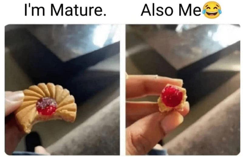 meme dump, funny memes, hilarious memes, Saturday memes, funny weekend posts, trending internet memes, relatable humor memes