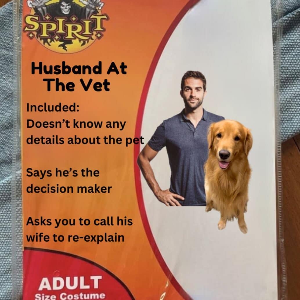 meme dump, funny memes, hilarious memes, trending internet memes, laugh-out-loud memes, internet humor, viral memes, relatable memes, random internet memes