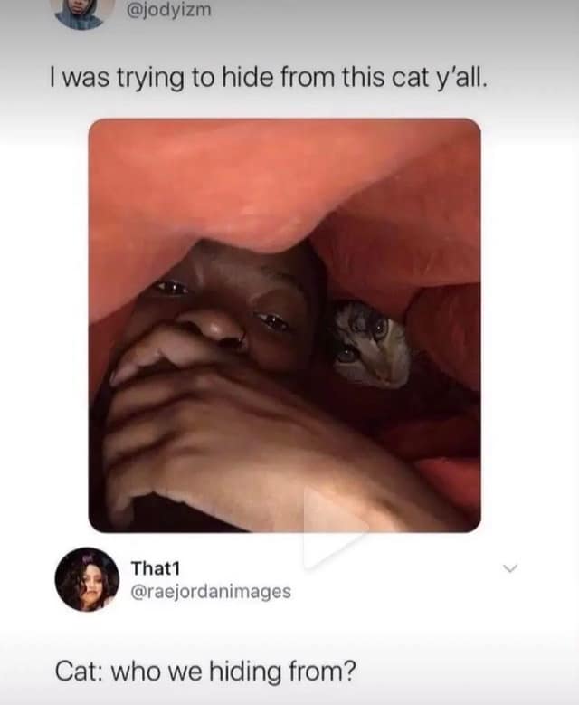 meme dump, funny memes, hilarious memes, meme gallery, meme collection, daily memes, lunch break memes