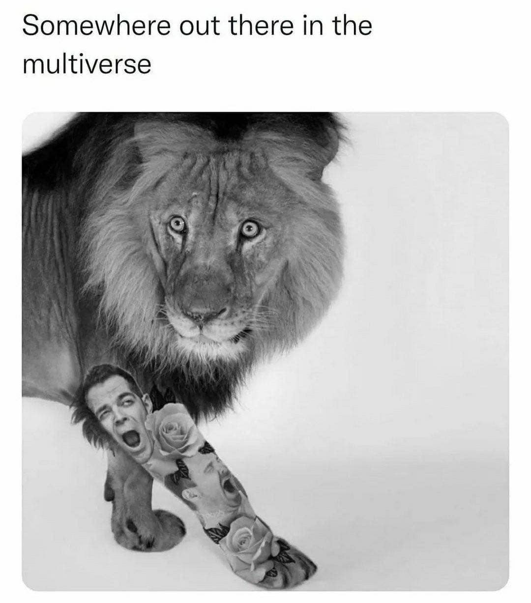 meme dump, funny memes, hilarious memes, meme gallery, meme collection, daily memes, lunch break memes