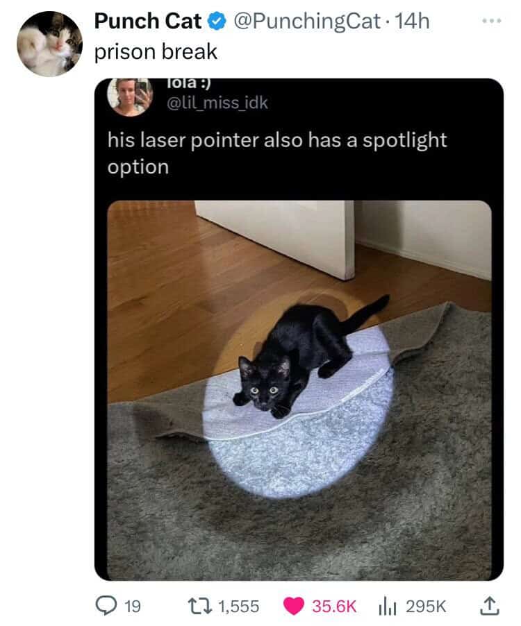 meme dump, funny memes, hilarious memes, Saturday memes, funny weekend posts, trending internet memes, relatable humor memes