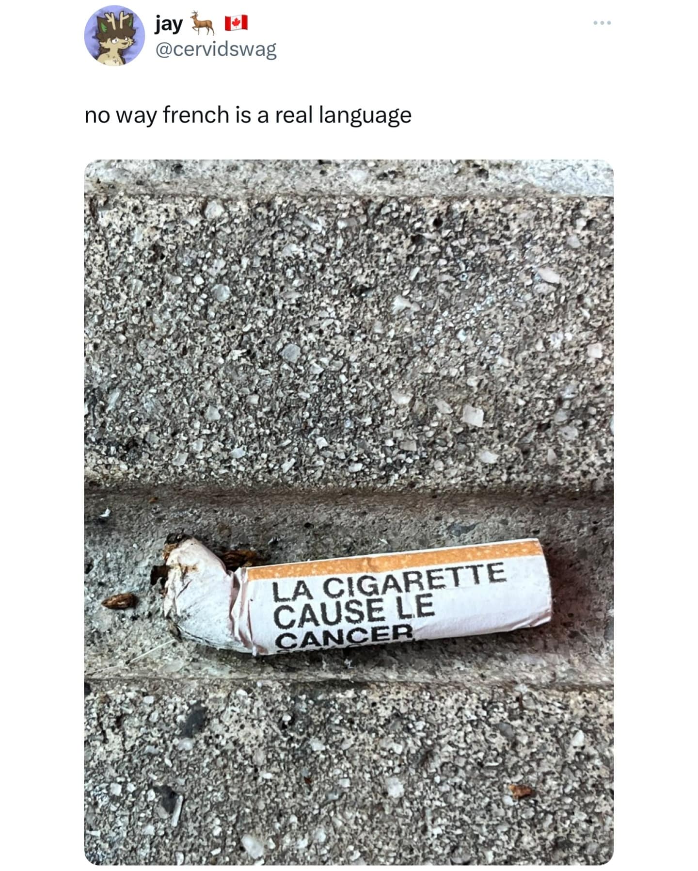 meme dump, funny memes, hilarious memes, lunch break memes, viral memes, relatable memes, reaction memes, viral internet humor