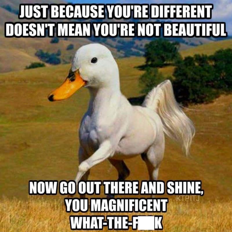 JUST BECAUSE YOU'RE DIFFERENT DOESN'T MEAN YOU'RE NOT BEAUTIFUL NOW GO OUT THERE AND SHINE, YOU MAGNIFICENT