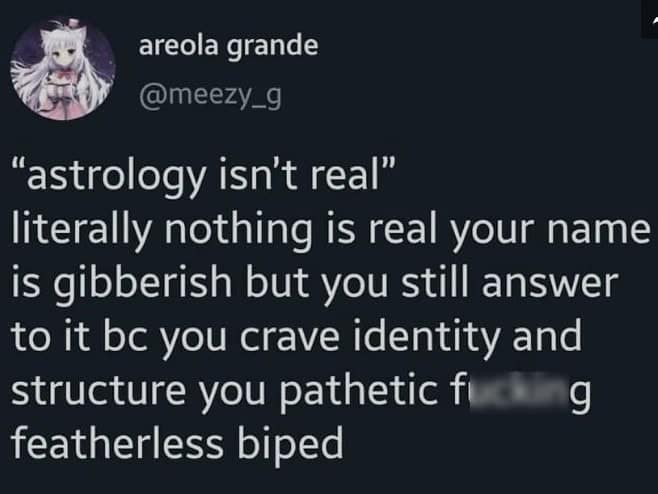 "astrology isn't real" literally nothing is real your name is gibberish but you still answer to it be you crave identity and structure you pathetic f featherless biped