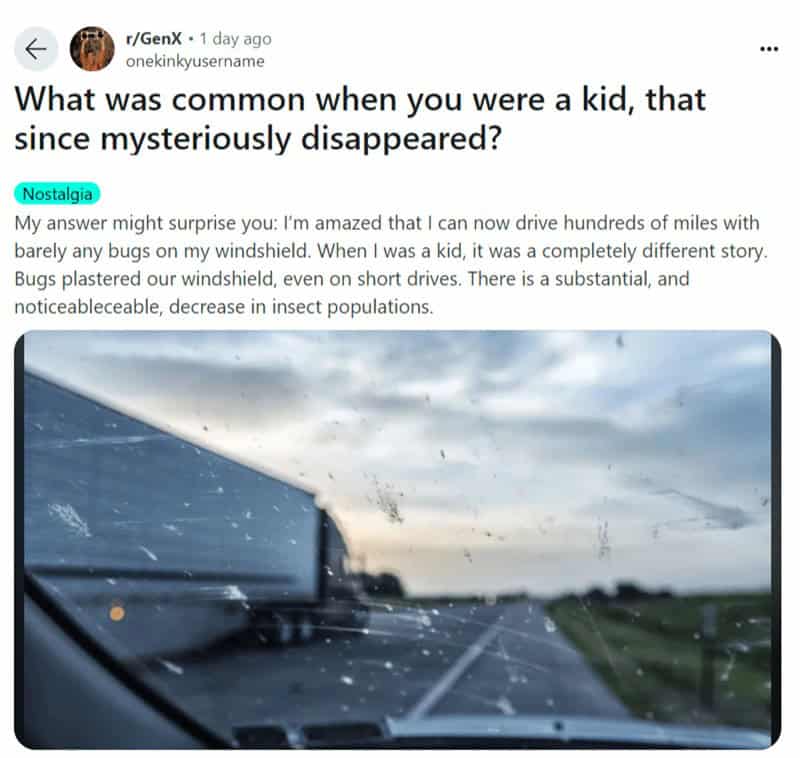 What was common when you were a kid, that since mysteriously disappeared? Nostalgia My answer might surprise you: I'm amazed that I can now drive hundreds of miles with barely any bugs on my windshield. When I was a kid, it was a completely different story. Bugs plastered our windshield, even on short drives. There is a substantial, and noticeableceable, decrease in insect populations.