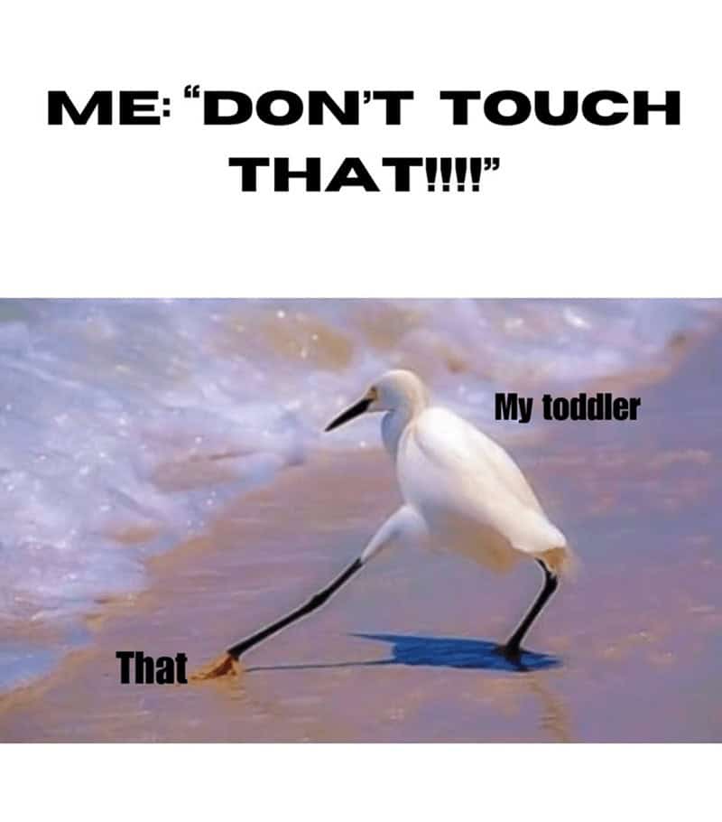 parenting memes, parenting tweets, comedic family quips, chuckle-inducing mommy memes, hilarious dad jokes