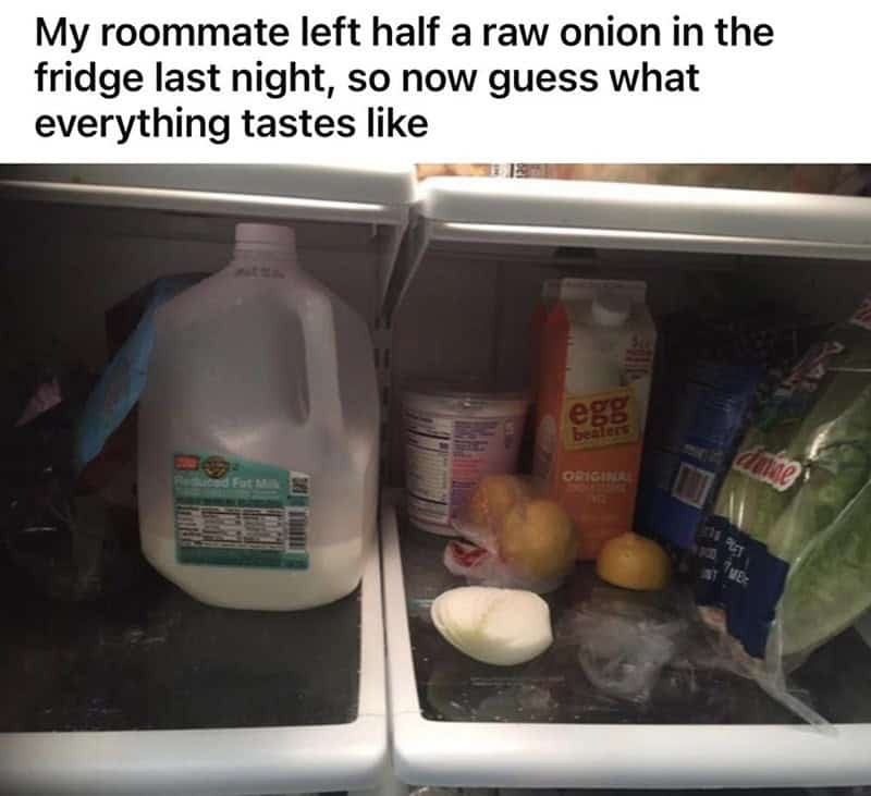 roommate shaming, roommate memes, shared living memes, annoying roommates, living with roommates, funny roommate experiences
