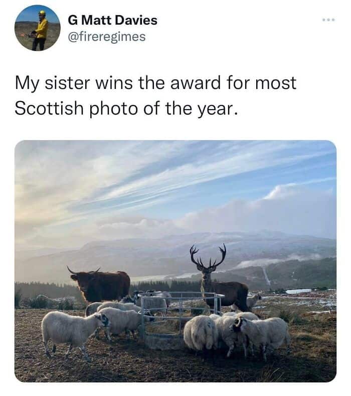 My sister wins the award for most Scottish photo of the year.