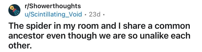 shower thoughts, random musings, funny observations, quirky thoughts, thought-provoking memes, funny realizations, brain teasers, clever musings, random questions, mind-bending thoughts