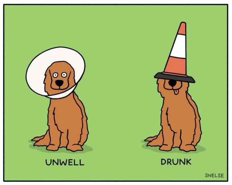 SNELSE comics, Steve Neslon comics, SNELSE humor, sarcastic comics, blunt comics, funny webcomics