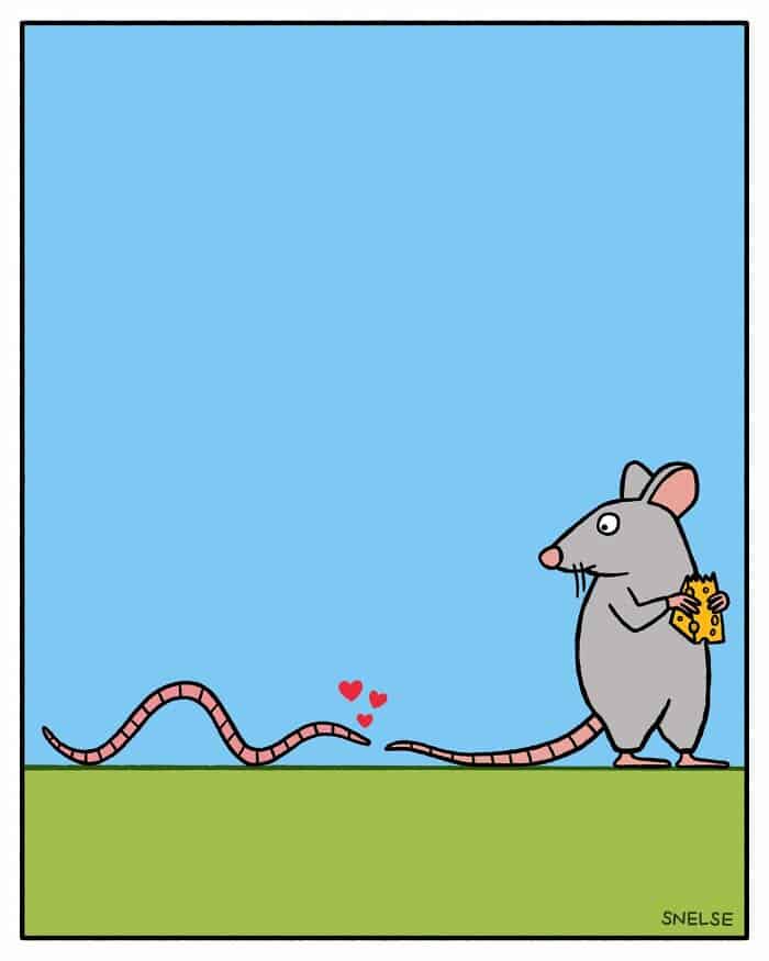 SNELSE comics, Steve Neslon comics, SNELSE humor, sarcastic comics, blunt comics, funny webcomics