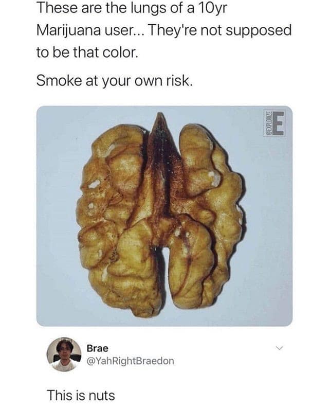 technically correct memes, precision humor, accuracy memes, exactitude memes, meticulous humor, nitpicky laughs