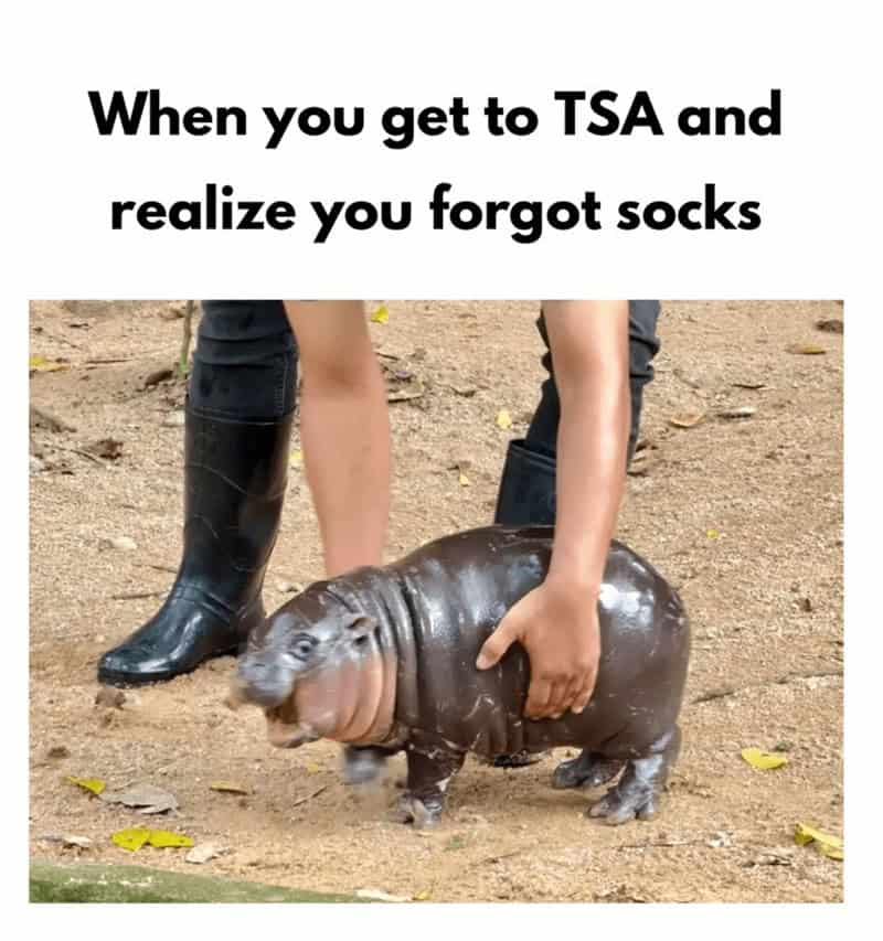 When you get to TSA and realize you forgot socks