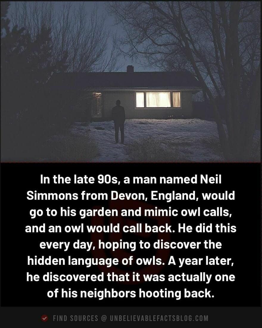 In the late 90s, a man named Neil Simmons from Devon, England, would go to his garden and mimic owl calls, and an owl would call back. He did this every day, hoping to discover the hidden language of owls. A year later, he discovered that it was actually one of his neighbors hooting back.