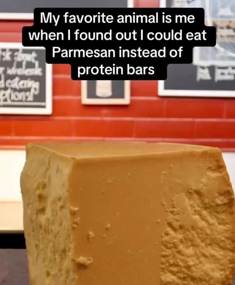 My favorite animal is me when I found out I could eat Parmesan instead of protein bars