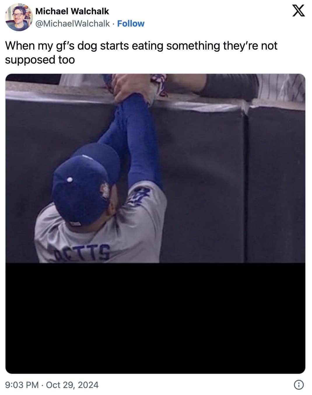 world series memes 2024, 2024 world series memes, MLB memes, baseball humor, Dodgers memes, Yankees memes, sports rivalry memes