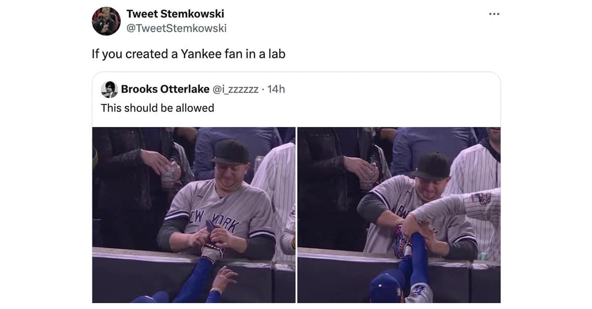 yankees fan interference memes, bronx bedlam, Yankees viral moment memes, Yankees fan chaos memes, Yankees outfield interference memes, World Series fan interference memes, MLB fan interference memes, baseball fan interference memes, World Series viral memes