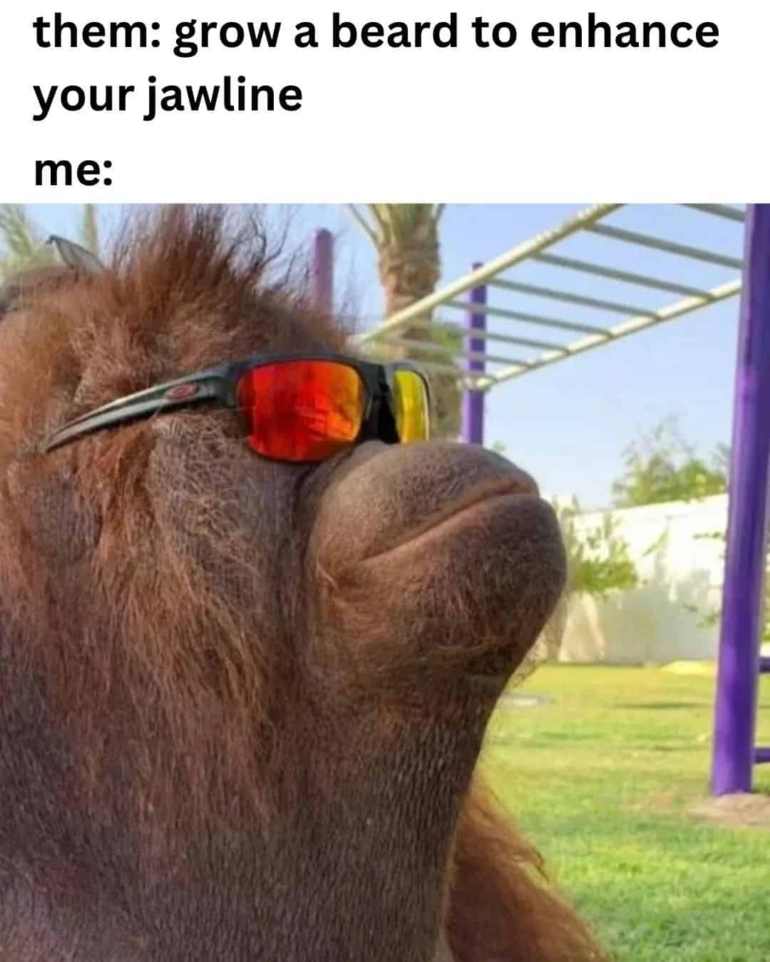 them: grow a beard to enhance your jawline me: