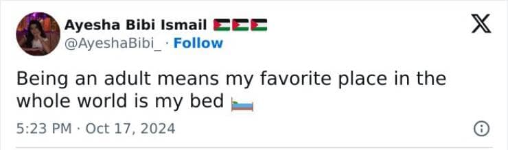 adulting memes, adulthood memes, adult memes, growing up memes, Funny aging memes, age humor memes, Life struggle memes, daily life memes, responsibility memes, Relatable memes, life humor