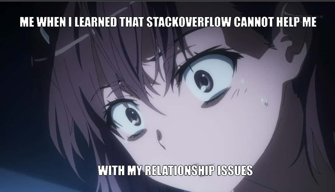 anime memes, programmer memes, anime humor, anime funny images, anime jokes, Computer nerd memes, heek humor, Computer science memes, coding jokes, programming memes