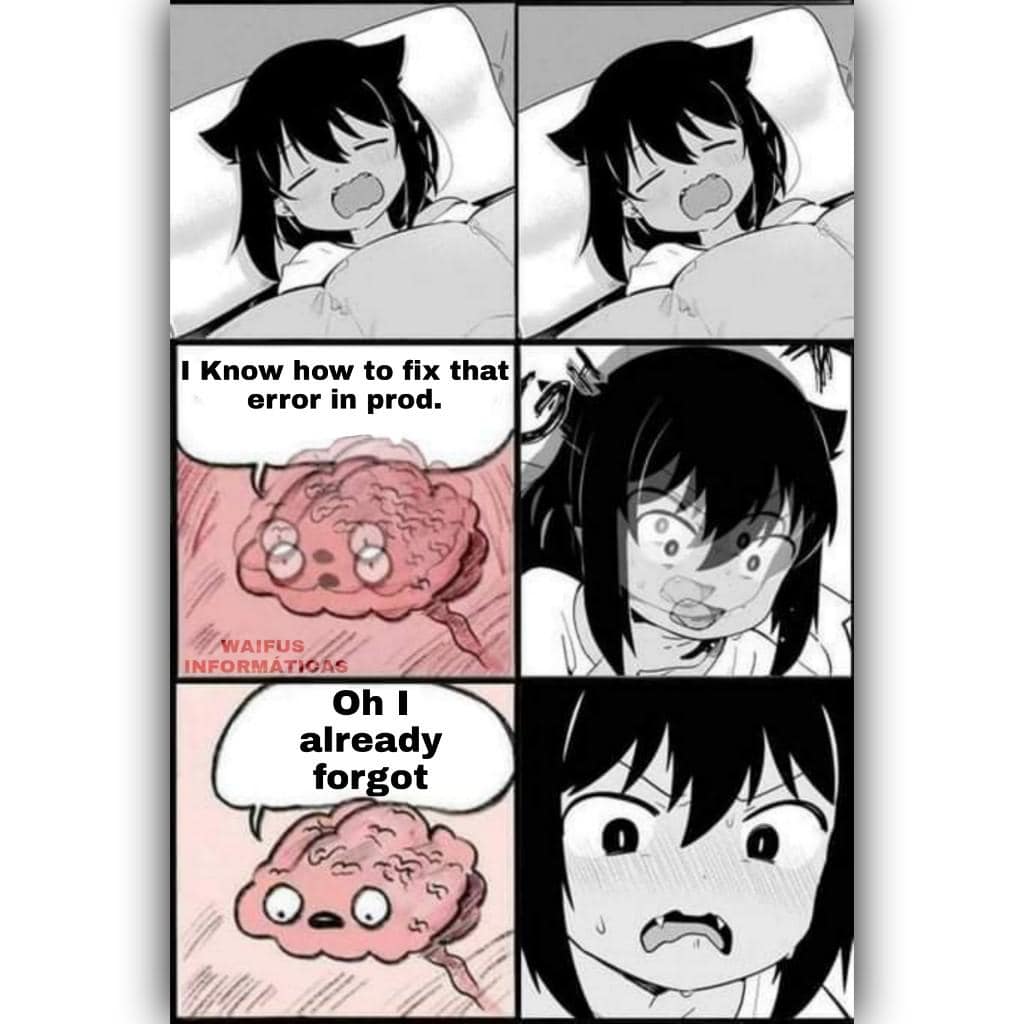 anime memes, programmer memes, anime humor, anime funny images, anime jokes, Computer nerd memes, heek humor, Computer science memes, coding jokes, programming memes