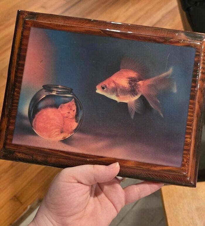 best thrift store finds, vintage clothing, secondhand stores, bargain shopping, thrifted treasures, consignment shops, pre-loved clothes