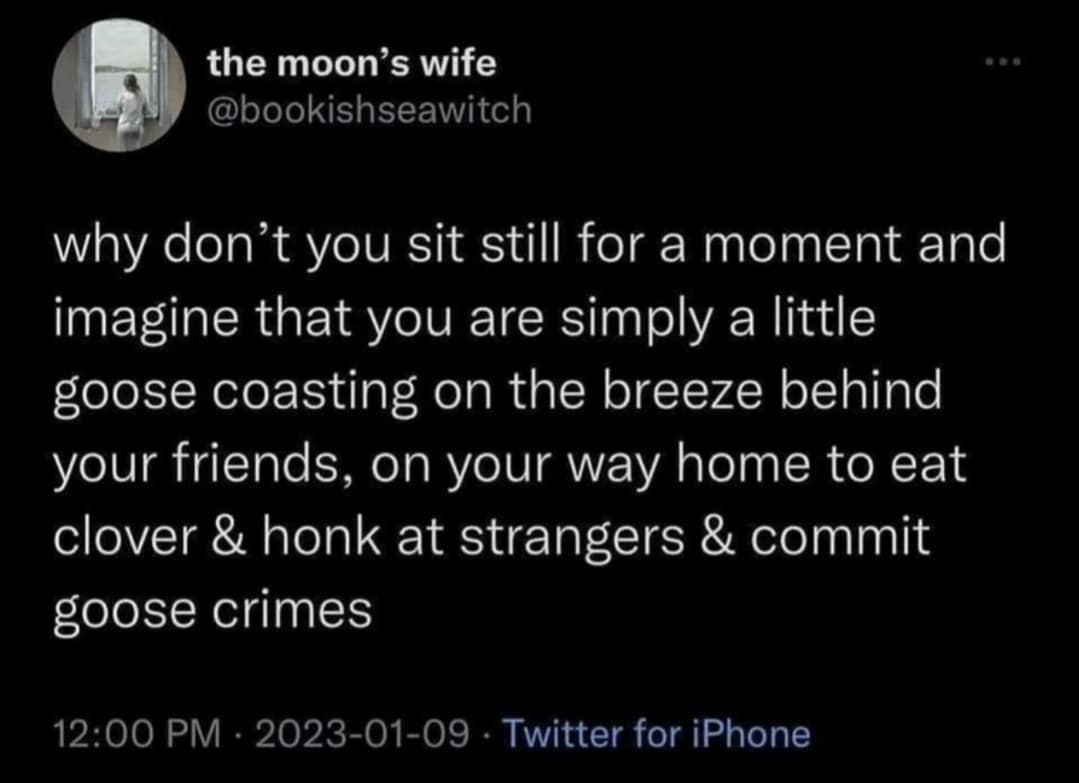 classic memes, vintage memes, viral tweets, timeless memes, viral memes, popular tweets, internet humor, trending tweets, viral internet posts, famous memes