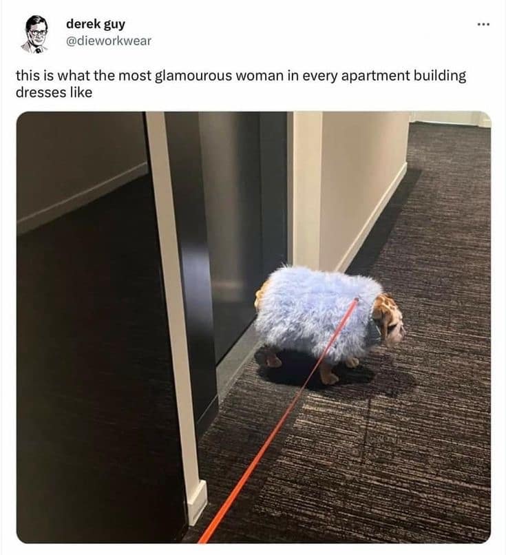 classic memes, vintage memes, viral tweets, timeless memes, old memes, evergreen memes. popular tweets, trending tweets best memes, throwback memes, retro memes