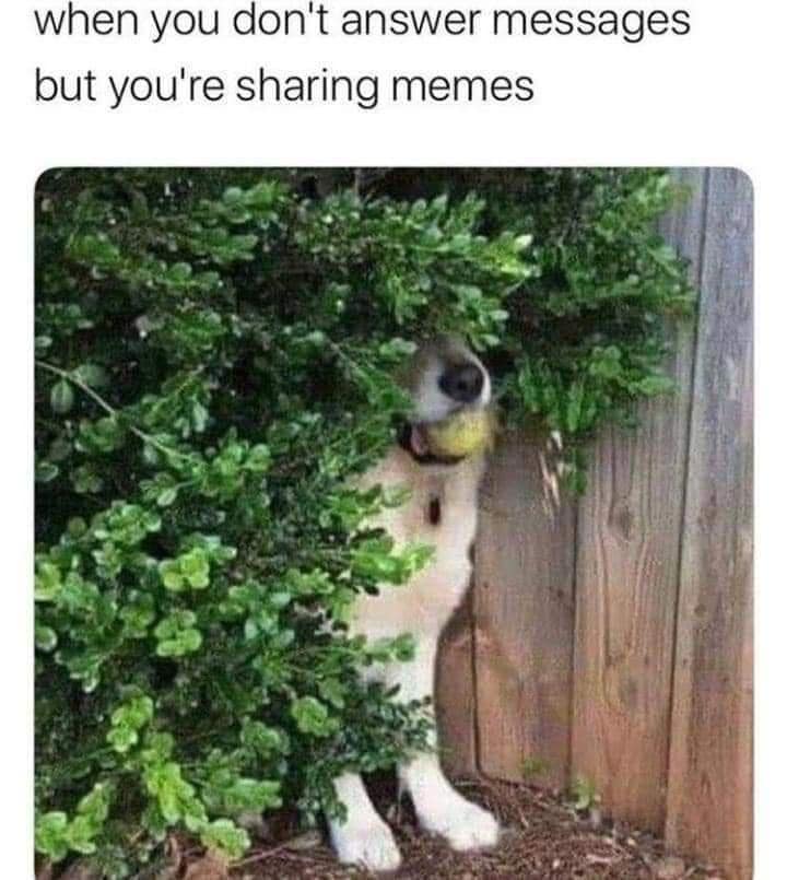 classic memes, vintage memes, viral tweets, timeless memes, old memes, evergreen memes, Viral memes, trending memes, popular memes, internet memes