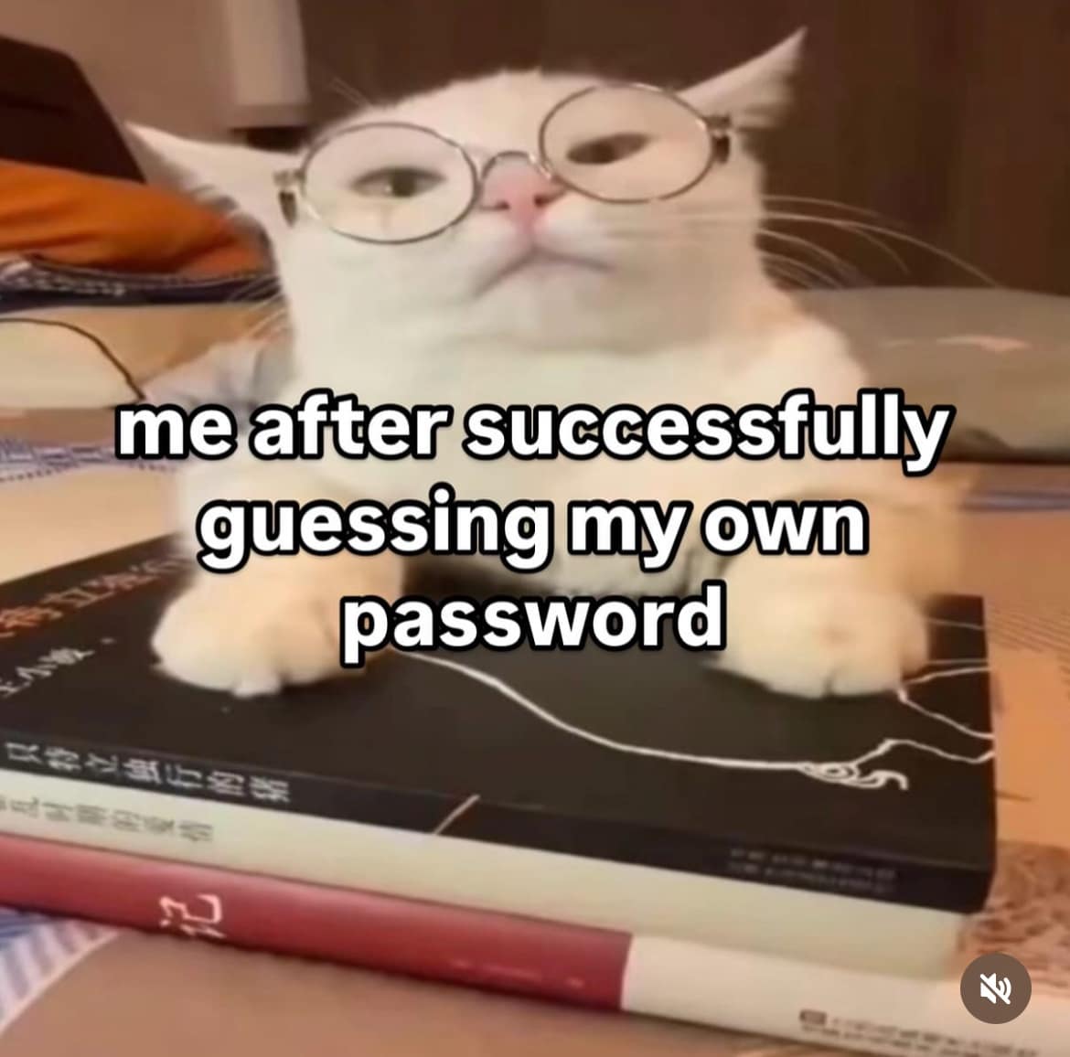 me after successfully guessing my own password こ