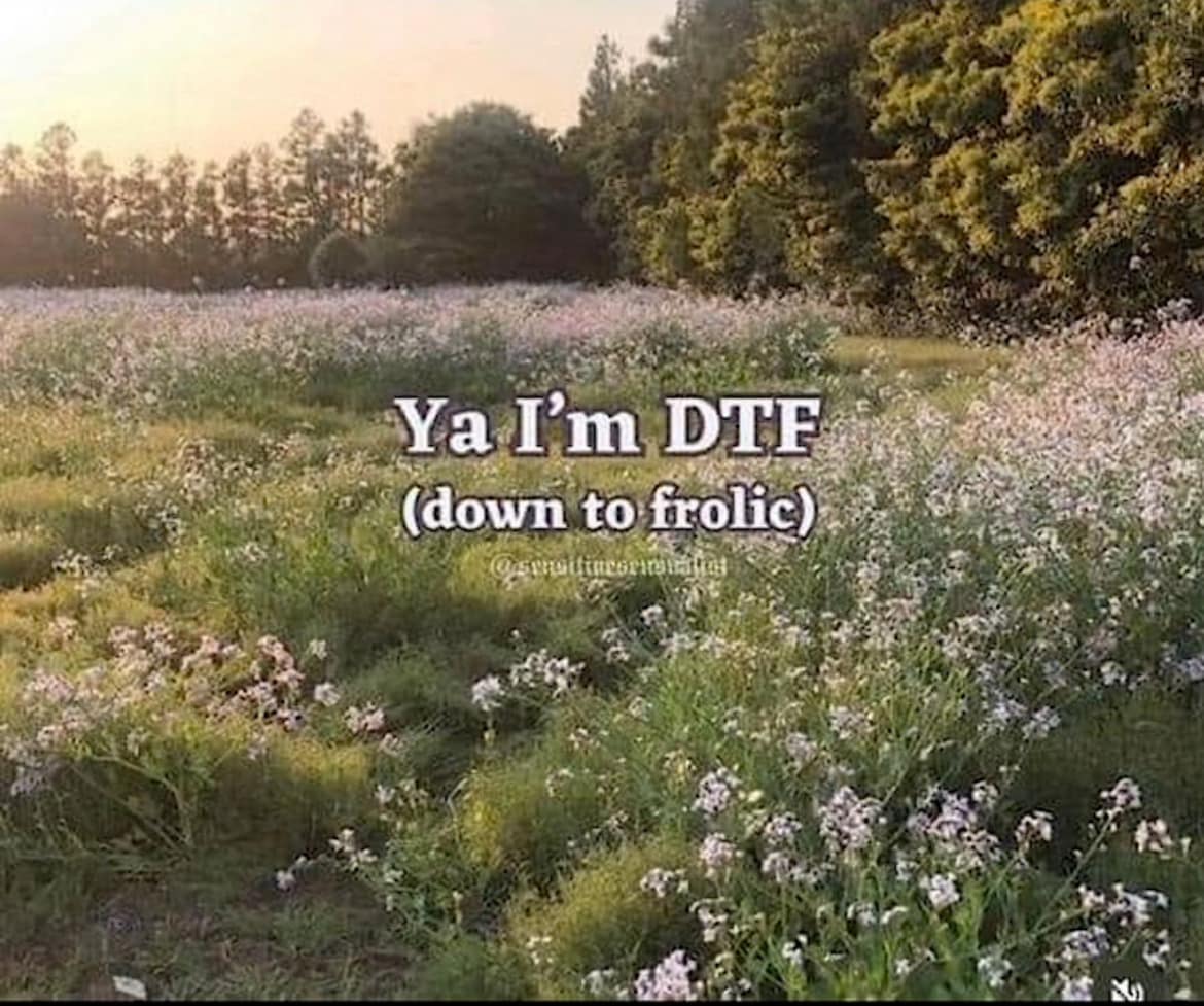 Yal'm DIF (down to frolic)