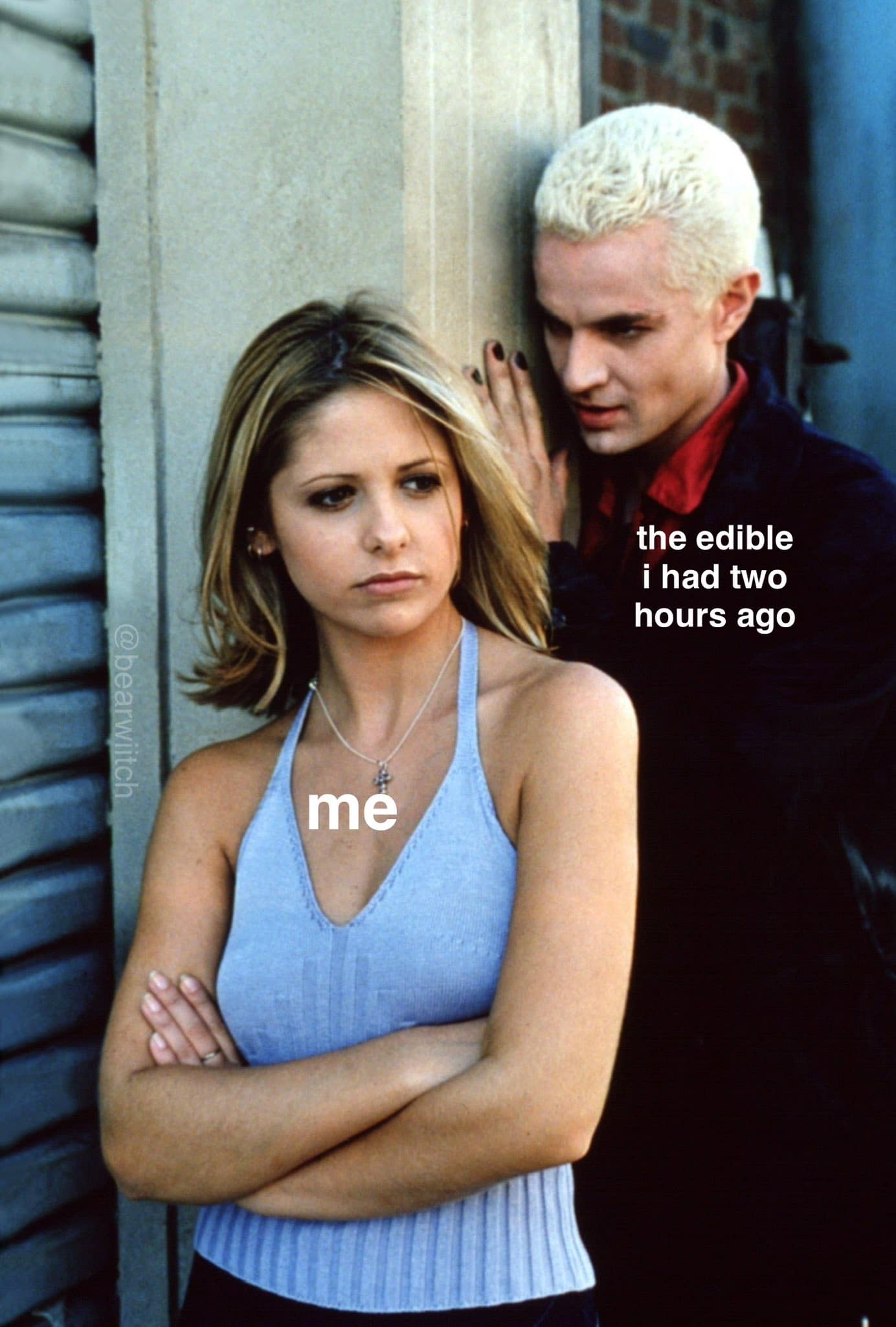 classic memes, vintage memes, viral tweets, timeless memes, enduring memes, old memes, internet classics, timeless memes, internet classics, meme culture, social media humor, best memes