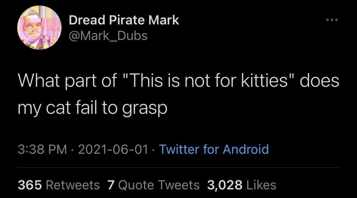 What part of "This is not for kitties" does my cat fail to grasp