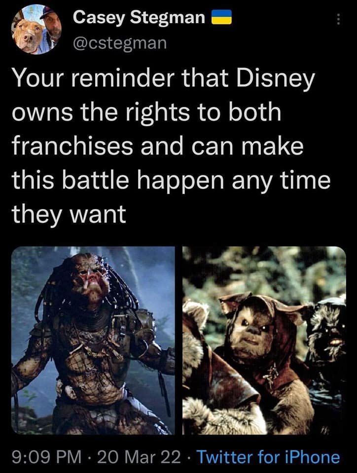 Casey Stegman E @cstegman Your reminder that Disney owns the rights to both franchises and can make this battle happen any time they want