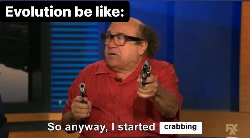 crab memes, crustacean memes, funny crab jokes, hilarious crab pictures, marine memes, ocean humor, sea creature memes, beach memes, seafood humor