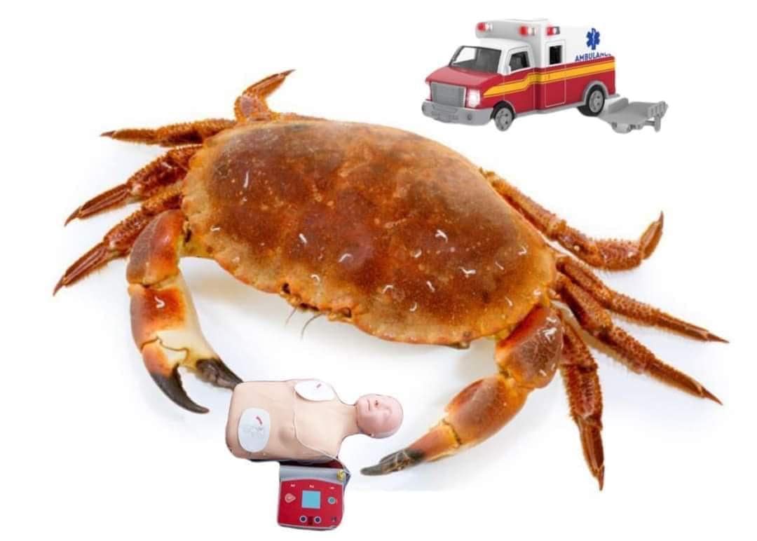 crab memes, crustacean memes, funny crab jokes, hilarious crab pictures, marine memes, ocean humor, sea creature memes, beach memes, seafood humor