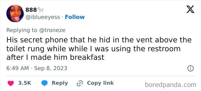 His secret phone that he hid in the vent above the toilet rung while while I was using the restroom after I made him breakfast