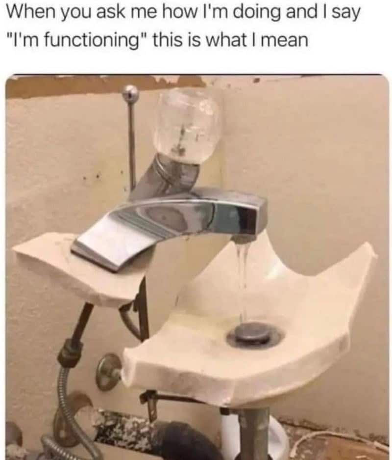 When you ask me how I'm doing and I say "I'm functioning" this is what I mean