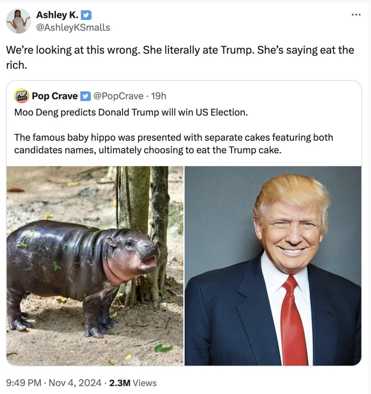 election day memes, voting day memes, election humor, democracy memes, election memes, political humor, voting jokes, civic duty memes, polling place memes, democratic process humor