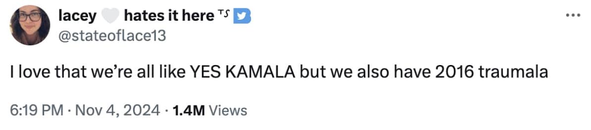 election day memes, voting day memes, election humor, democracy memes, election memes, political humor, voting jokes, civic duty memes, polling place memes, democratic process humor