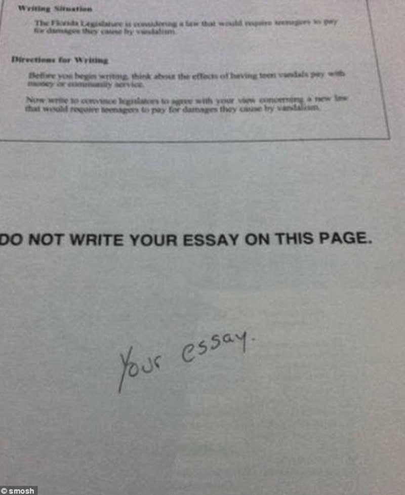 DO NOT WRITE YOUR ESSAY ON THIS PAGE. Your essay