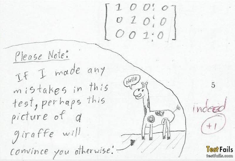 Please Note: IF I made any mistakes in this test, perhaps this picture of a giraffe will convince you otherwise: