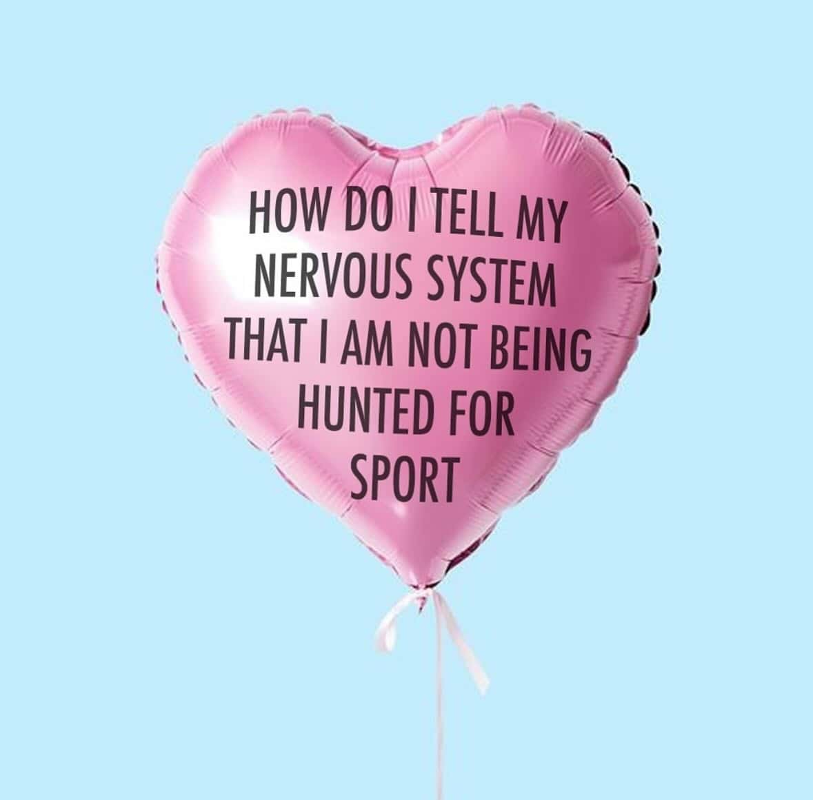 HOW DO I TELL MY NERVOUS SYSTEM THAT I AM NOT BEING HUNTED FOR SPORT
