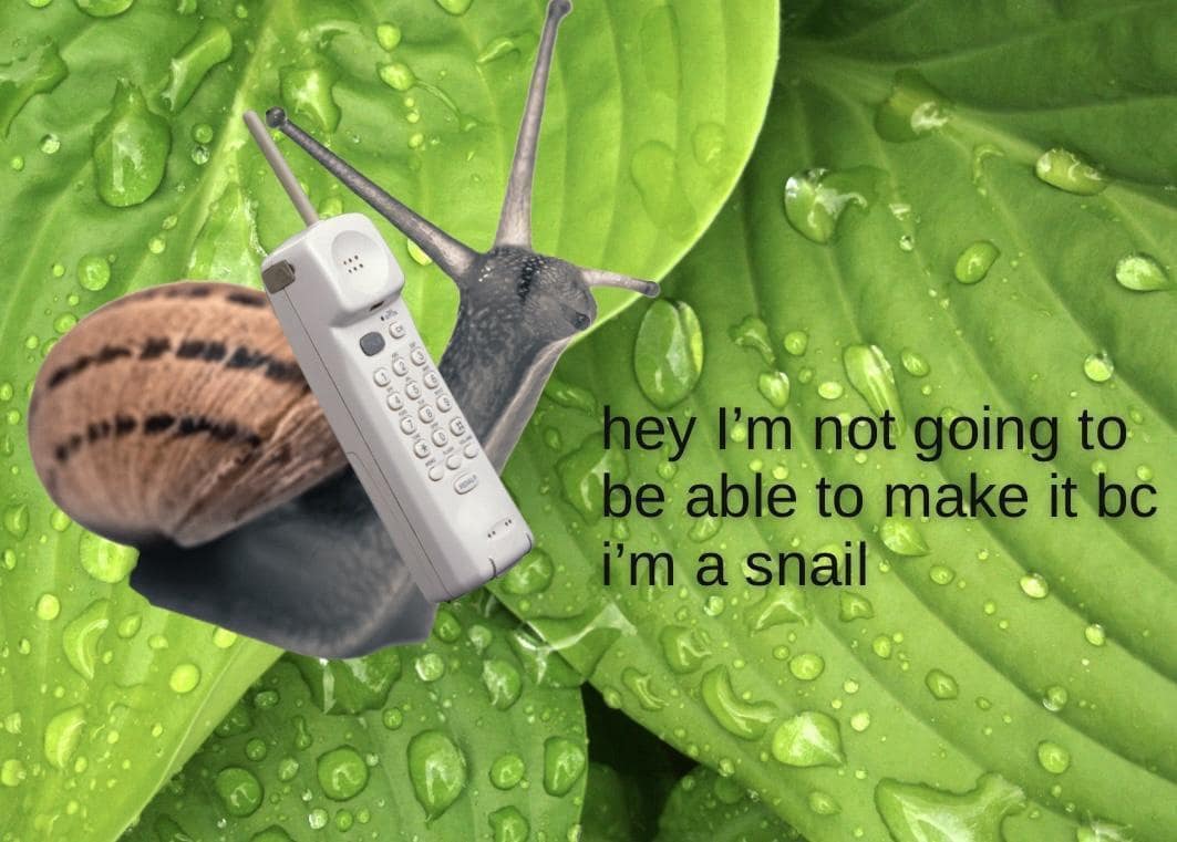 hey I'm not going to be able to make it bc i'm a snail