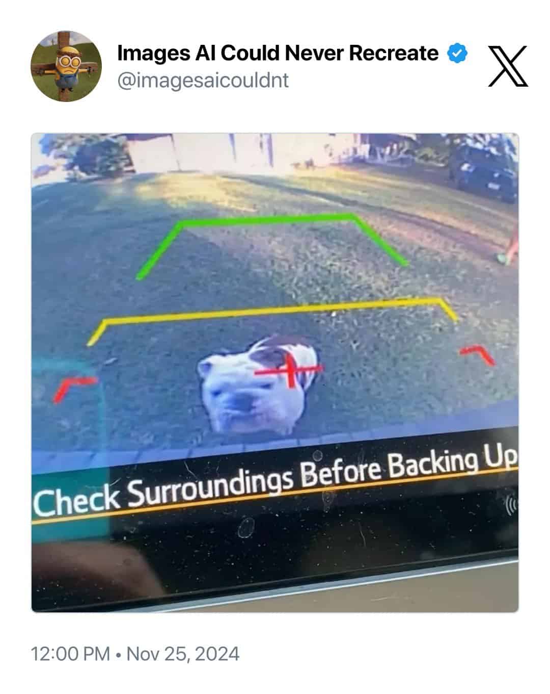 Check Surroundings Before Backing Up