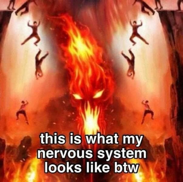 this is what my nervous system looks like btw