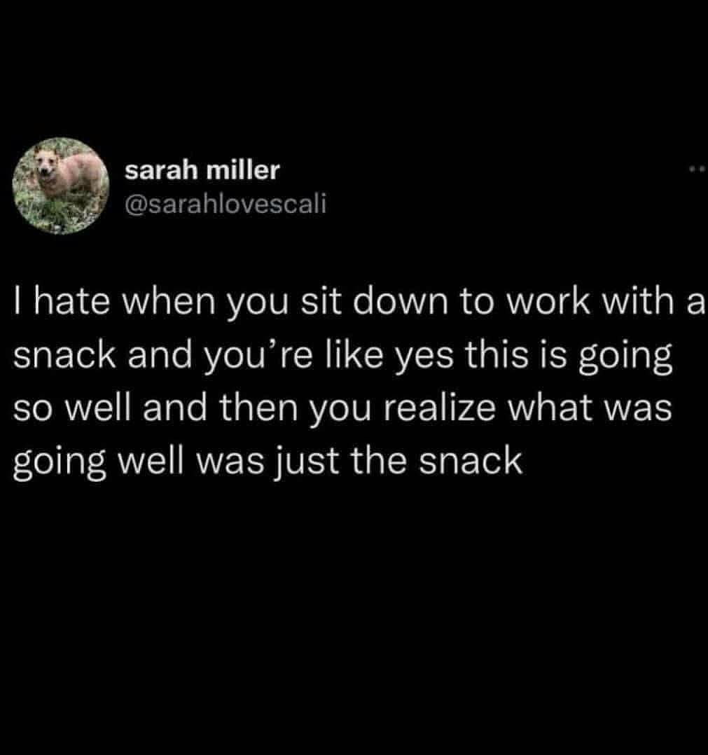 I hate when you sit down to work with a snack and you're like yes this is going so well and then you realize what was going well was just the snack
