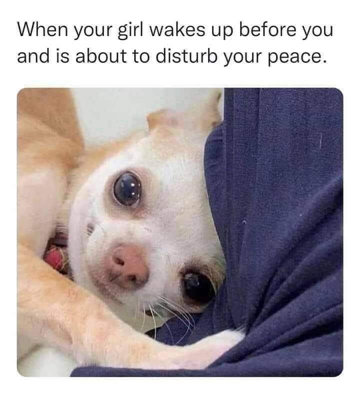 When your girl wakes up before you and is about to disturb your peace.